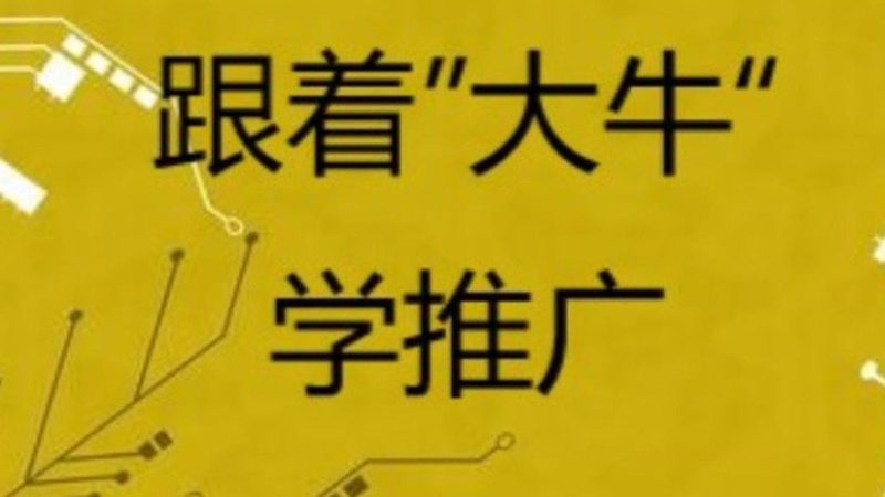 整站优化代理定制方案